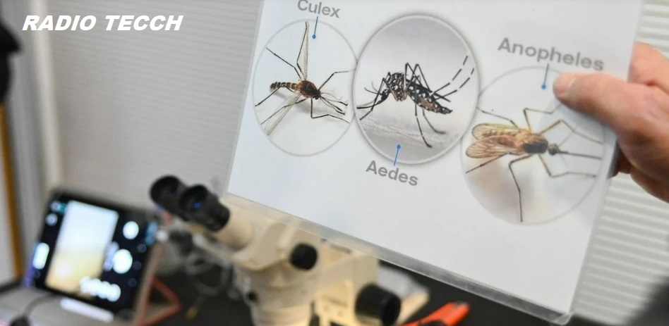 El Niño: con las lluvias y el río alto, leptospirosis y dengue ya se miran como alertas sanitarias en Santa Fe