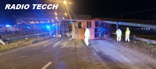 Cinco detenidos tras faenar ganado luego del vuelco de un camión en Villa Gobernador Gálvez