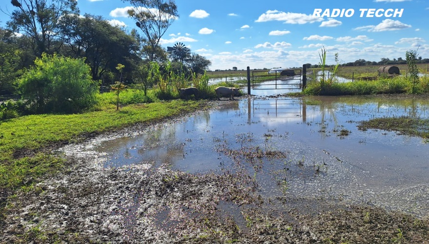 El Palmar: caminos bajo agua, familias aisladas y preocupación por la llegada de El Niño