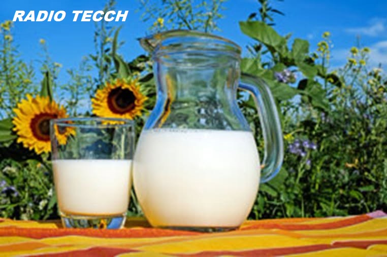Día Mundial de la Leche.