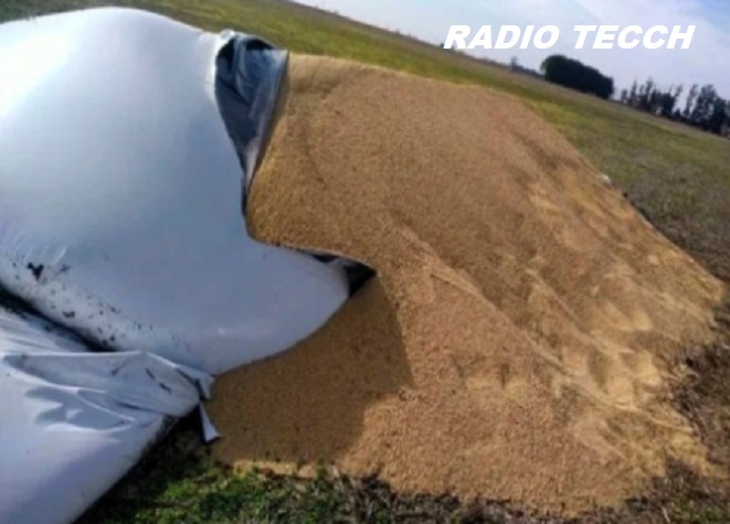 Destruyeron 12 silobolsas y causaron una pérdida millonaria