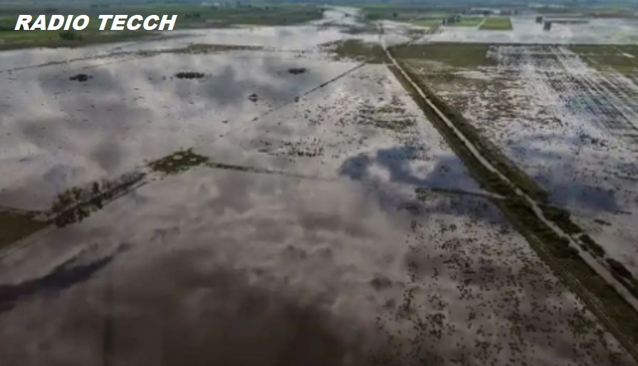 El Niño será muy fuerte e impactará en la región durante la primavera